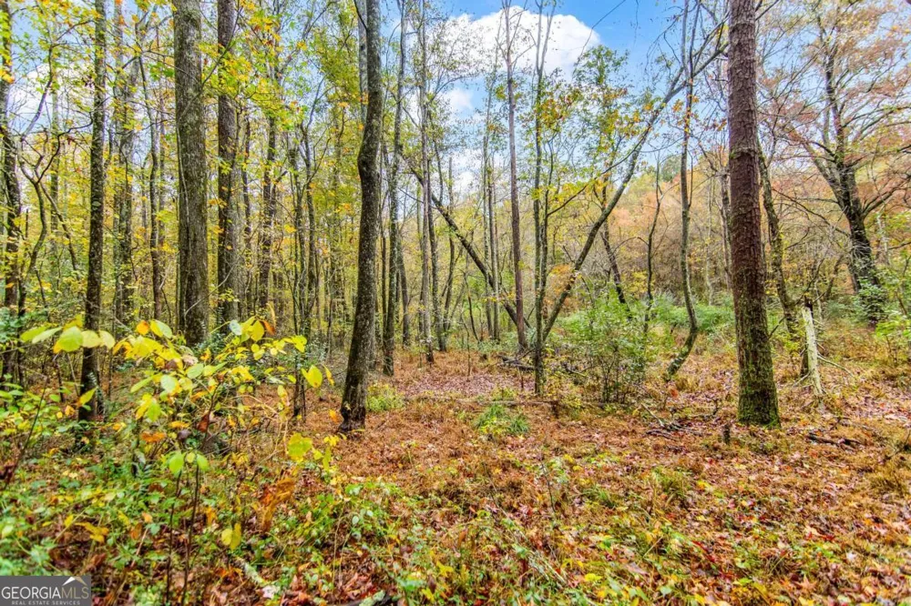 5618 Highway 52 Dawsonville, GA 30534