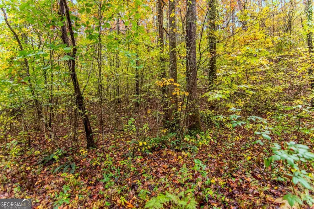 5618 Highway 52 Dawsonville, GA 30534