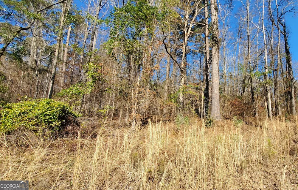 LOT 184 Southern Shores RD Jackson, GA 30233