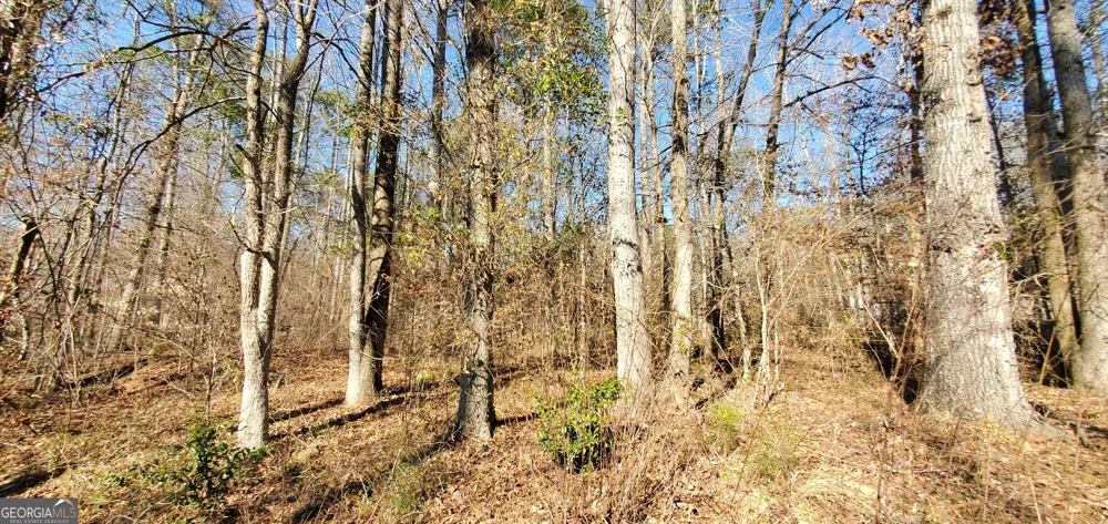 LOT 184 Southern Shores RD Jackson, GA 30233