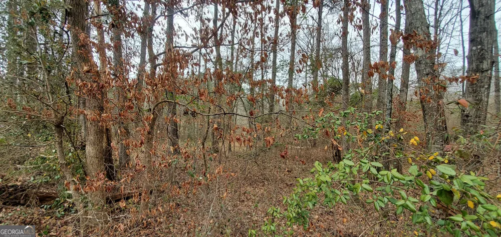 LOT 184 Southern Shores RD Jackson, GA 30233