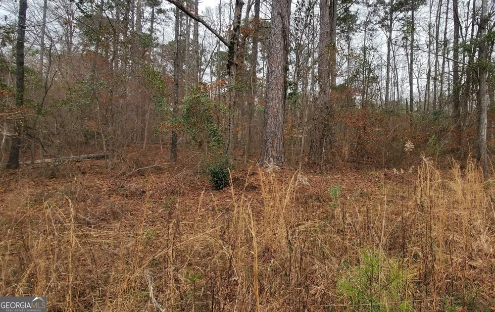 LOT 184 Southern Shores RD Jackson, GA 30233