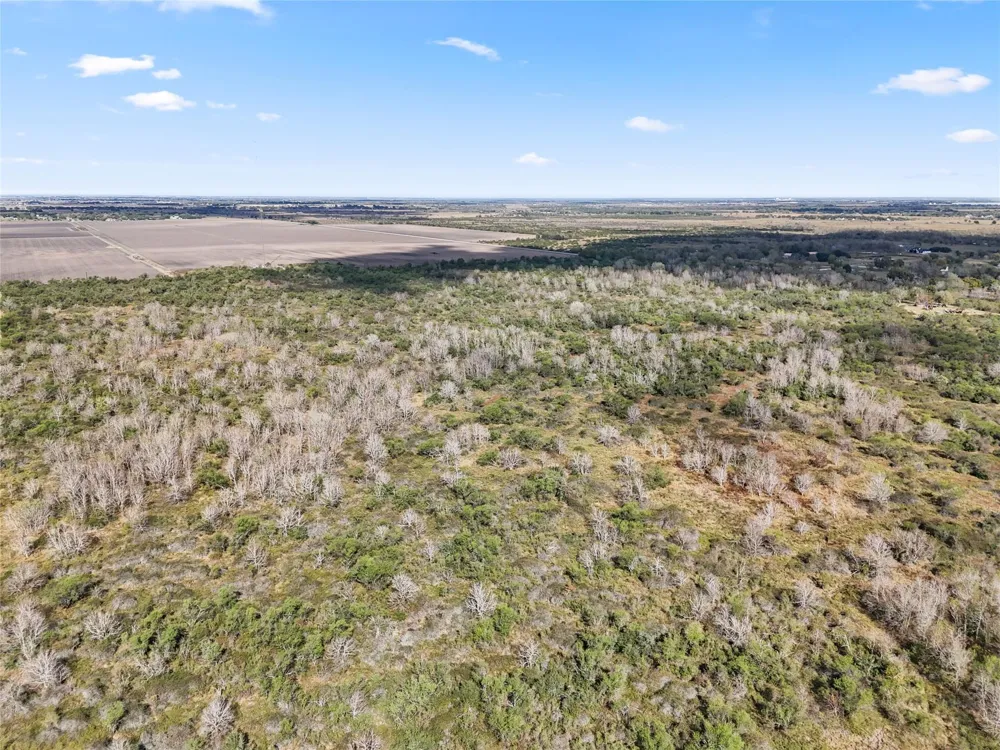 Modena School Rosenberg, TX 77471
