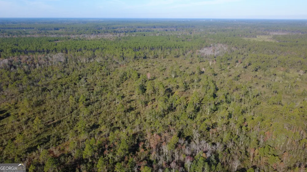 0 Fargo HWY Homerville, GA 31634