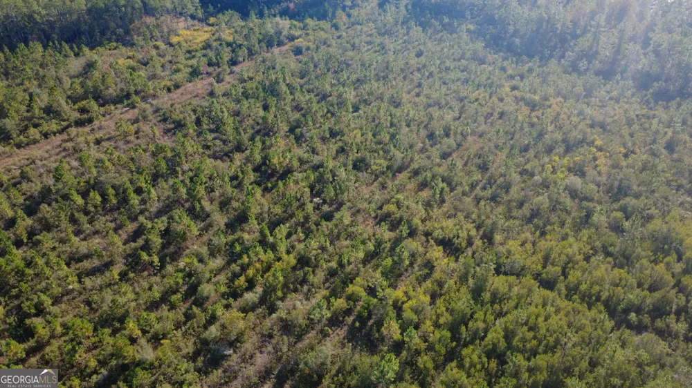 0 Fargo HWY Homerville, GA 31634