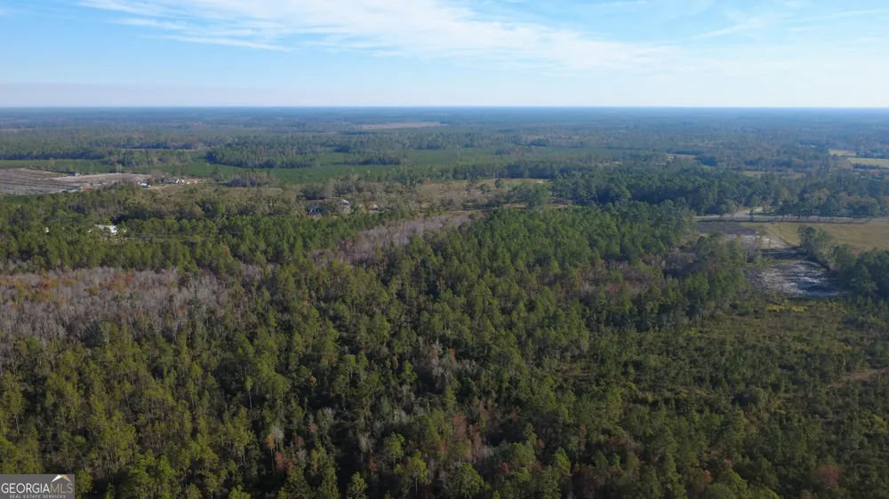 0 Fargo HWY Homerville, GA 31634