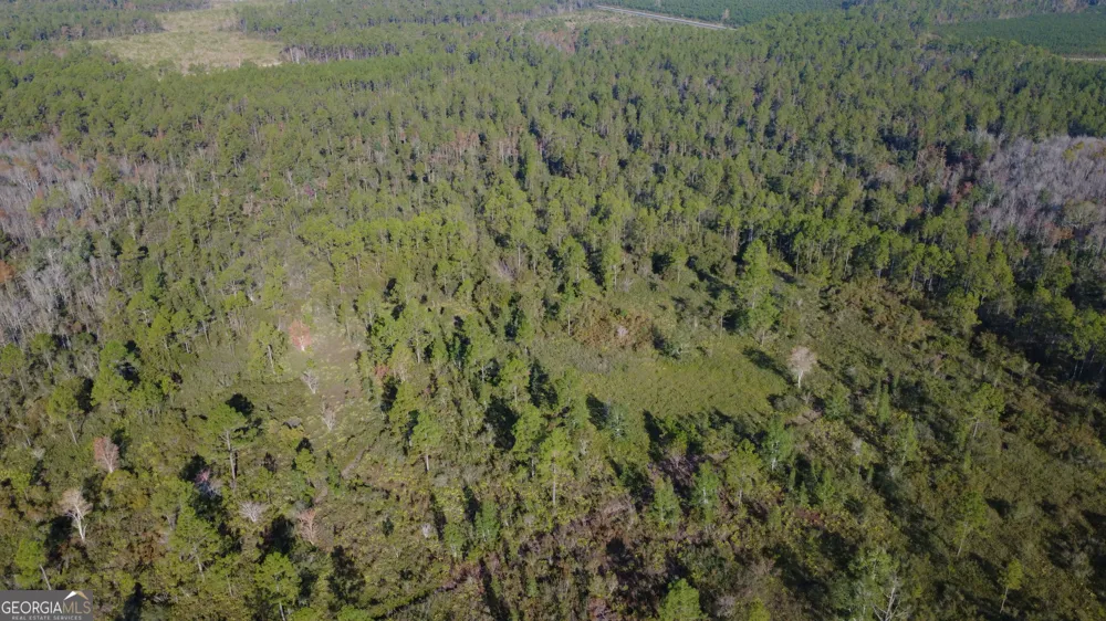 0 Fargo HWY Homerville, GA 31634