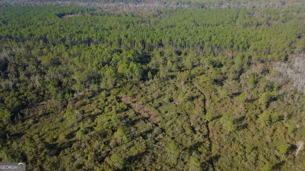 0 Fargo HWY Homerville, GA 31634
