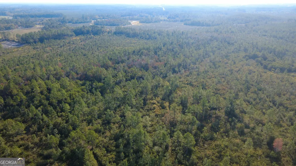 0 Fargo HWY Homerville, GA 31634