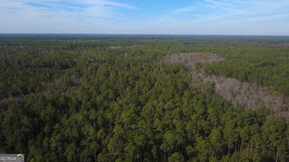 0 Fargo HWY Homerville, GA 31634