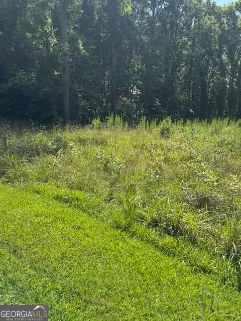 1060 Twin Pines CIR NE Greensboro, GA 30642