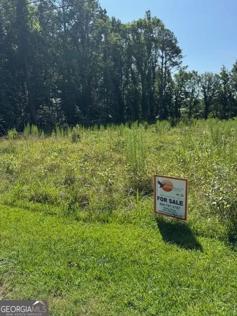 1060 Twin Pines CIR NE Greensboro, GA 30642