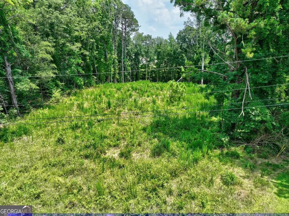 1060 Twin Pines CIR NE Greensboro, GA 30642