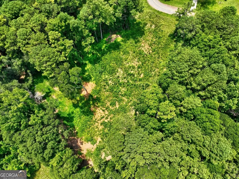 1060 Twin Pines CIR NE Greensboro, GA 30642