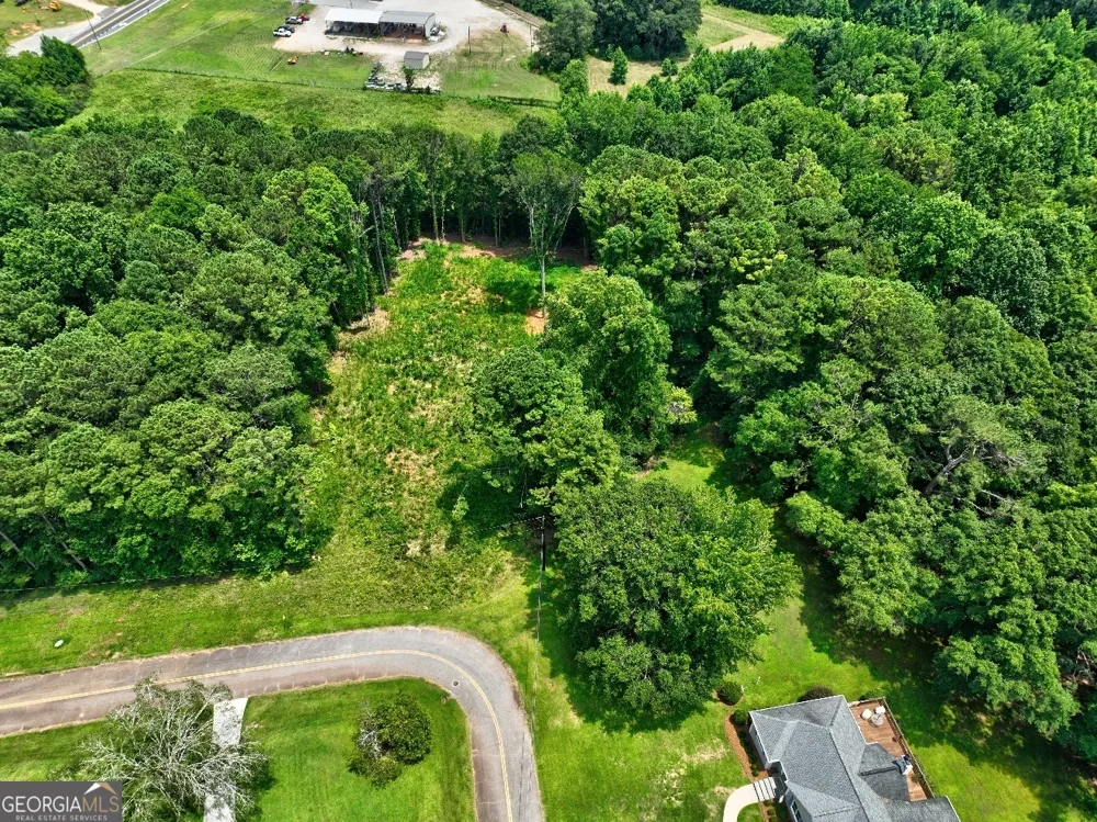 1060 Twin Pines CIR NE Greensboro, GA 30642
