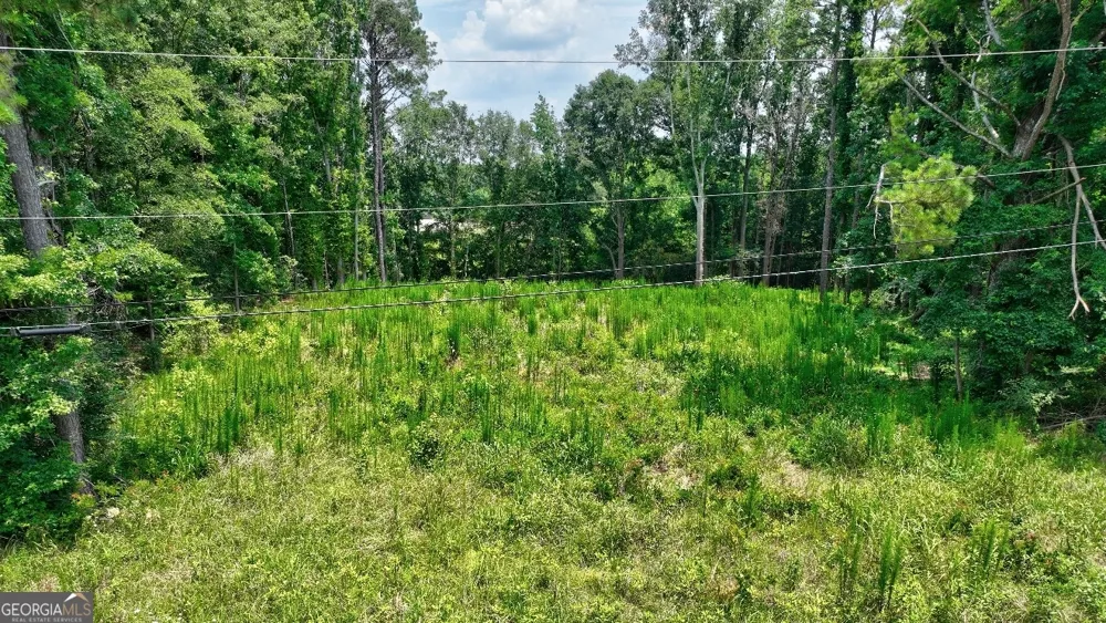 1060 Twin Pines CIR NE Greensboro, GA 30642