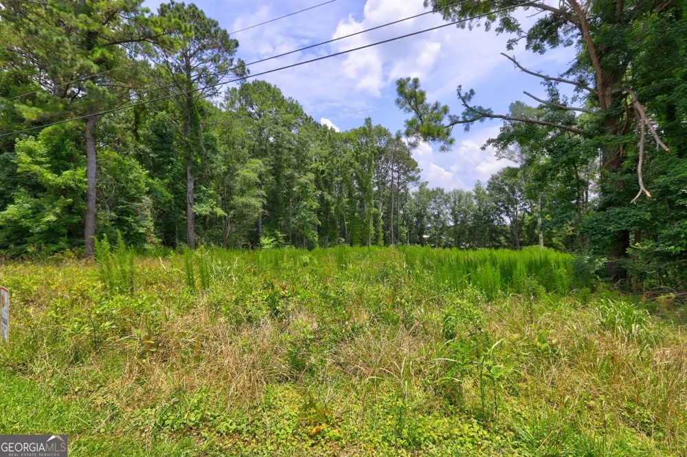 1060 Twin Pines CIR NE Greensboro, GA 30642