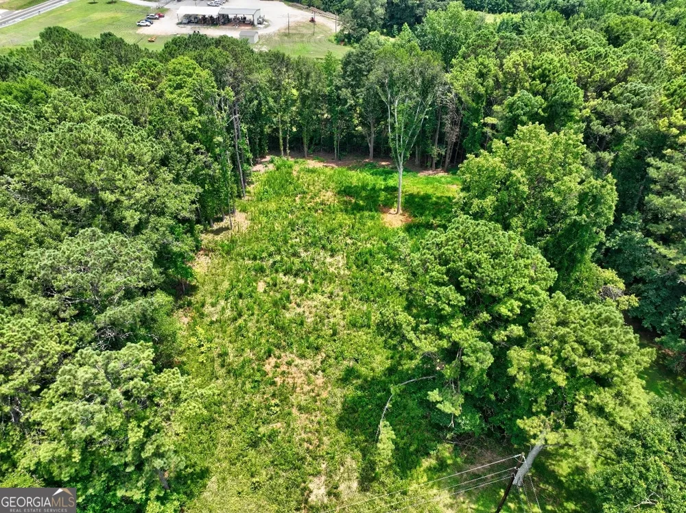 1060 Twin Pines CIR NE Greensboro, GA 30642