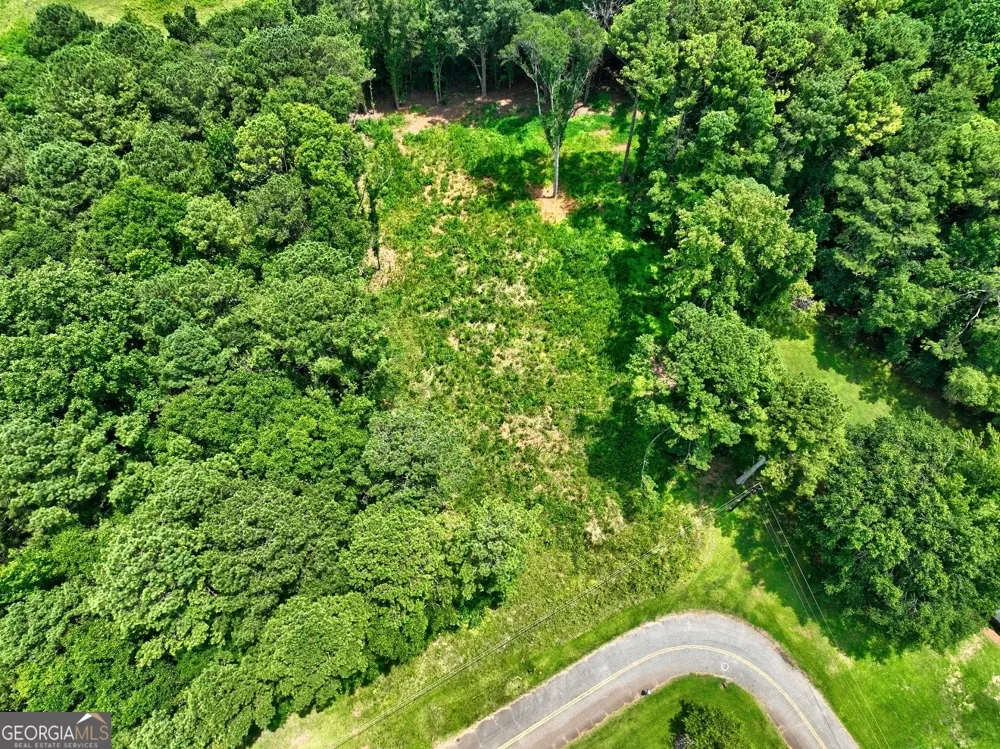 1060 Twin Pines CIR NE Greensboro, GA 30642