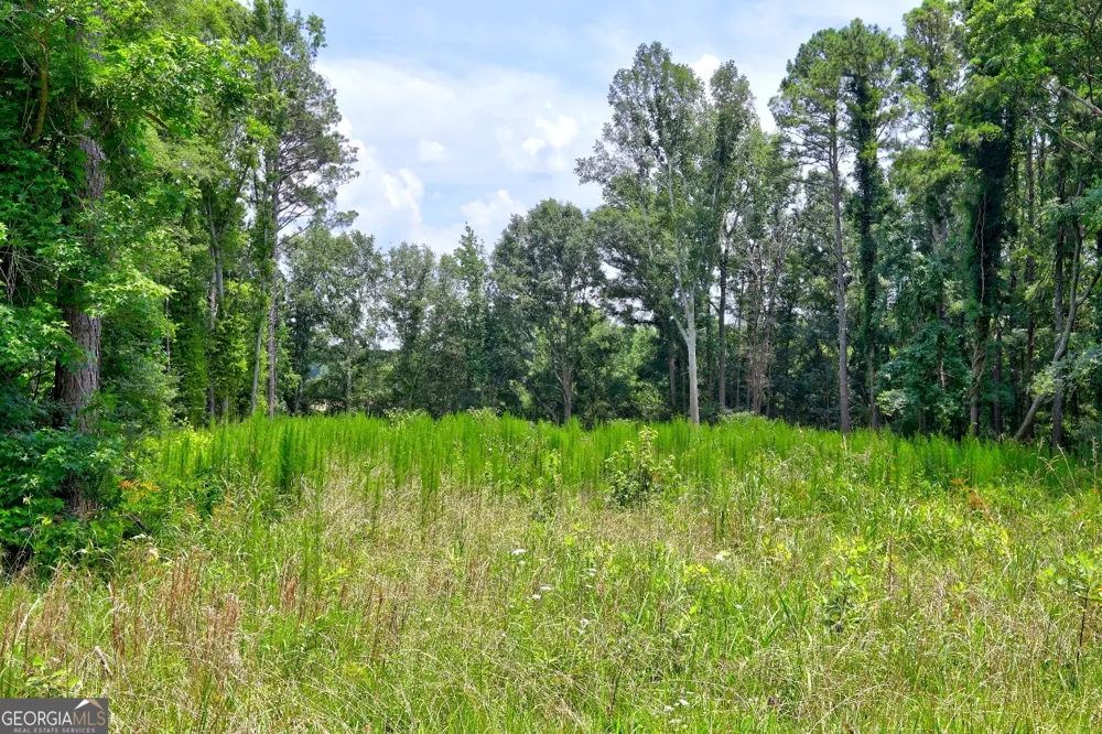 1060 Twin Pines CIR NE Greensboro, GA 30642