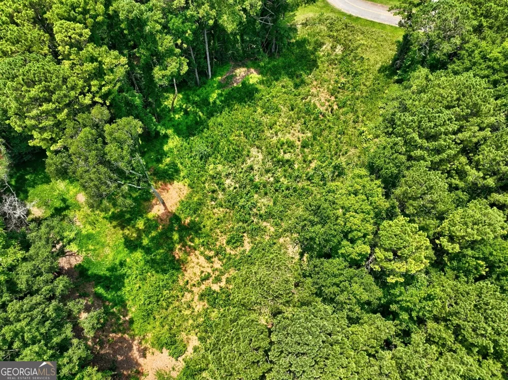 1060 Twin Pines CIR NE Greensboro, GA 30642