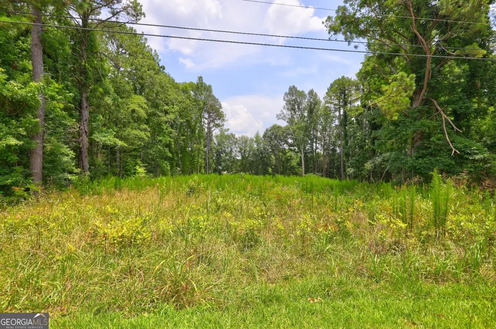 1060 Twin Pines CIR NE Greensboro, GA 30642