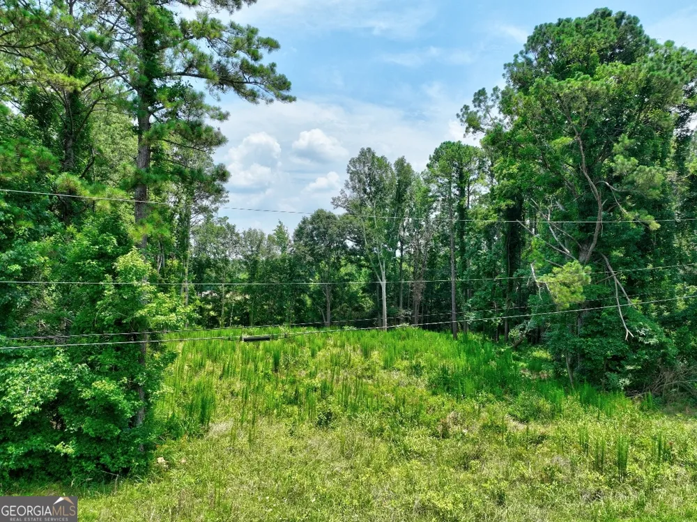 1060 Twin Pines CIR NE Greensboro, GA 30642