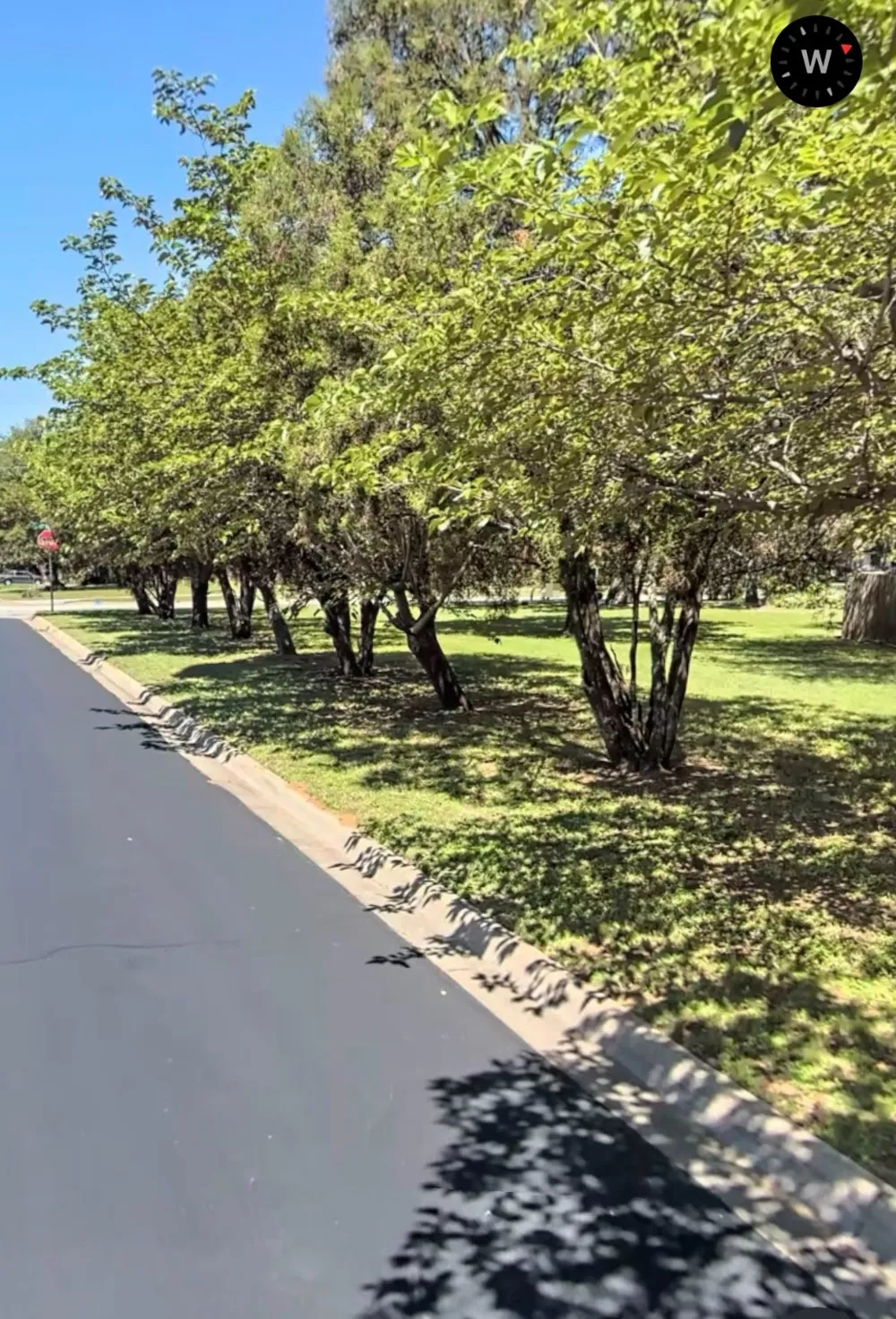 440 W Louella Hurst, TX 76054
