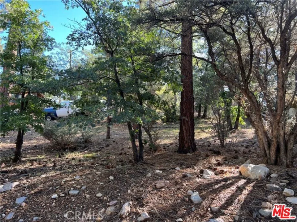 Kern Avenue Sugarloaf, CA 92386