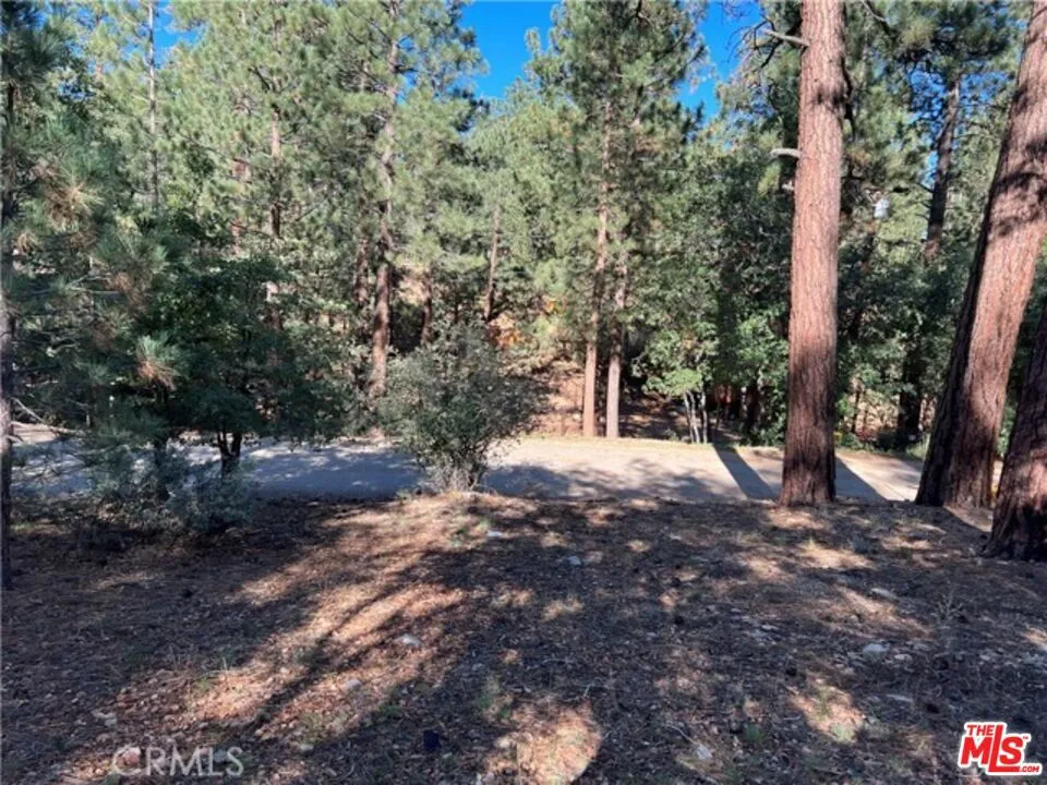 Kern Avenue Sugarloaf, CA 92386