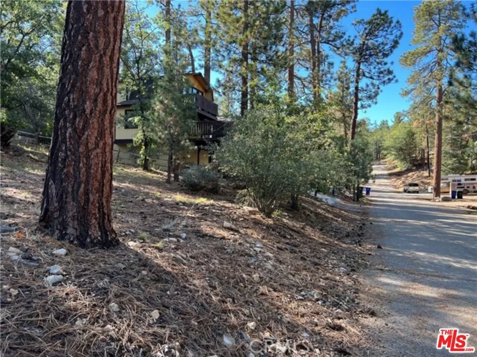 Kern Avenue Sugarloaf, CA 92386