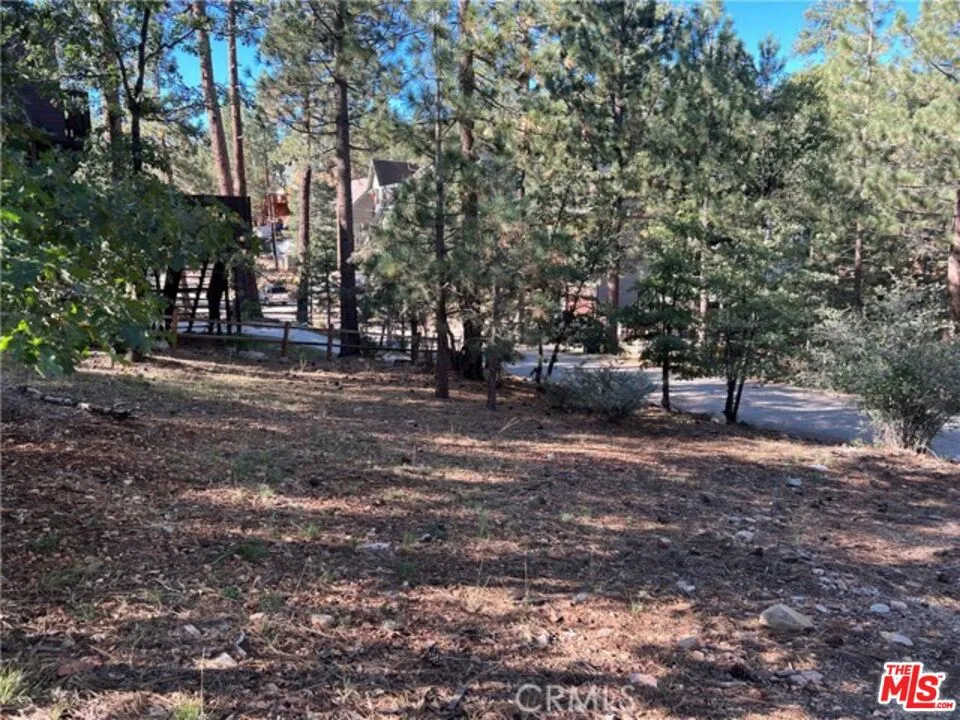 Kern Avenue Sugarloaf, CA 92386