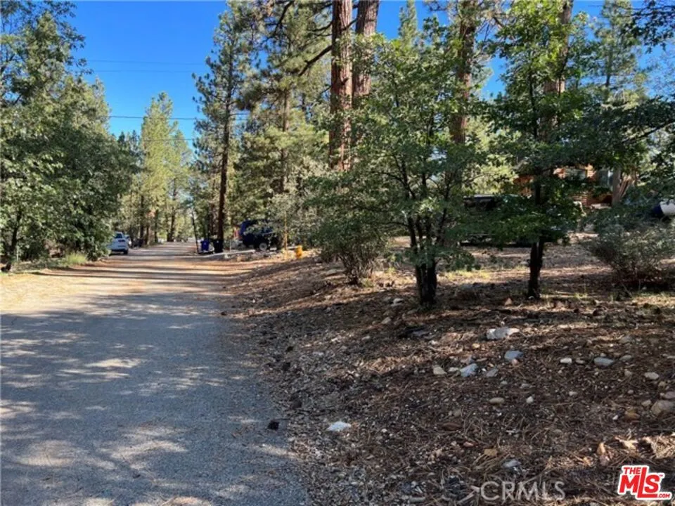 Kern Avenue Sugarloaf, CA 92386
