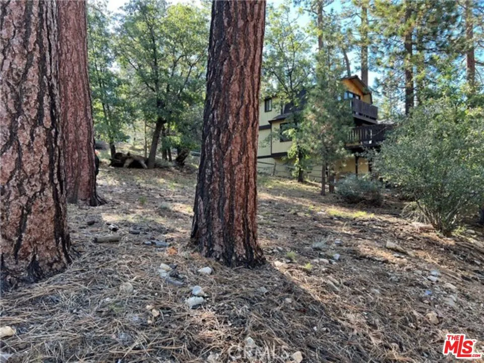 Kern Avenue Sugarloaf, CA 92386
