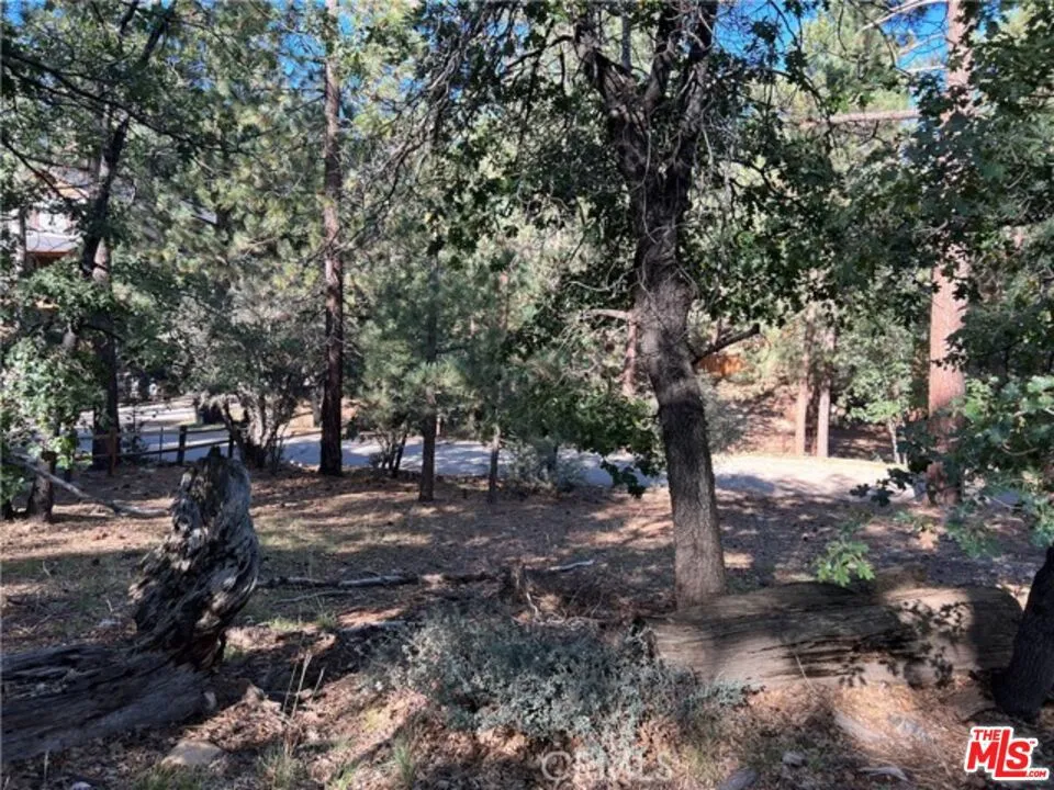 Kern Avenue Sugarloaf, CA 92386