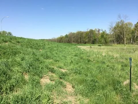 xxx County Road 24 & 63rd Ave Cannon Falls, MN 55009
