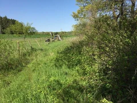 xxx County Road 24 & 63rd Ave Cannon Falls, MN 55009