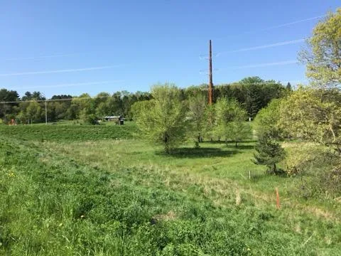 xxx County Road 24 & 63rd Ave Cannon Falls, MN 55009