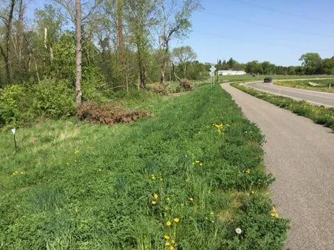xxx County Road 24 & 63rd Ave Cannon Falls, MN 55009