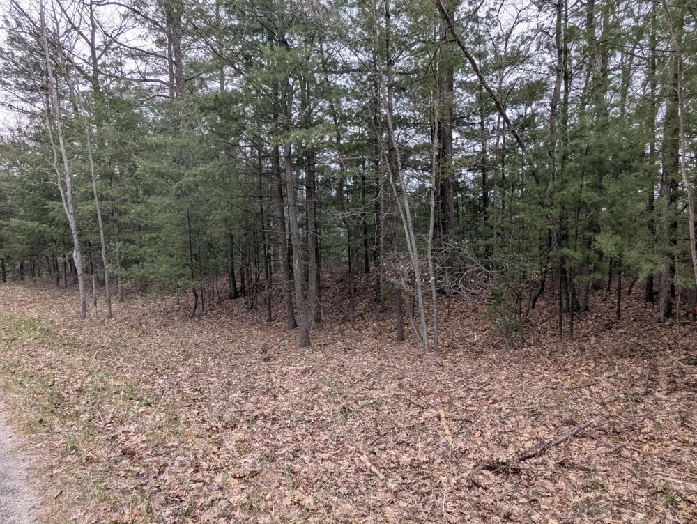 West Crooked Lake Rd Lake City, MI 49651