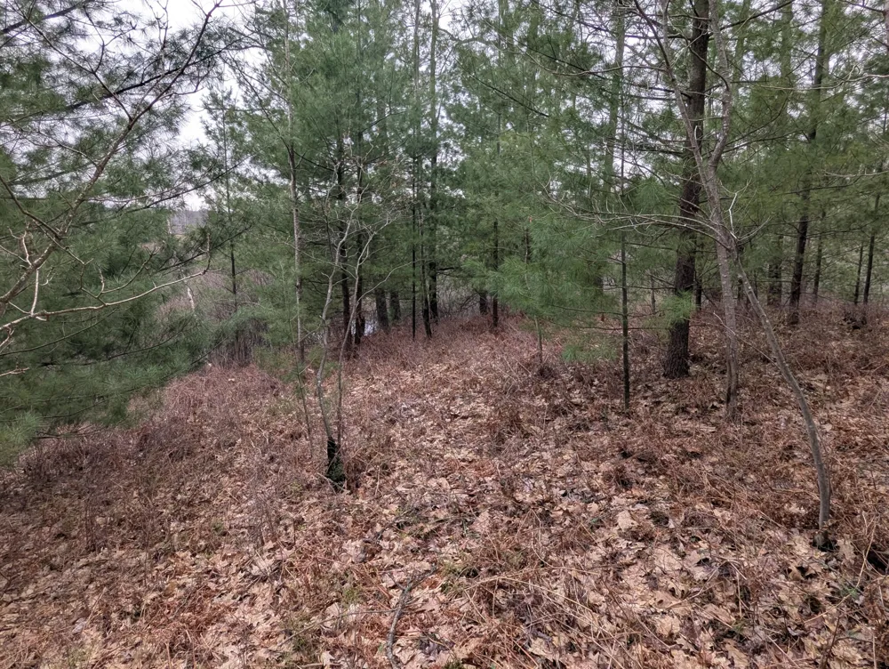 West Crooked Lake Rd Lake City, MI 49651