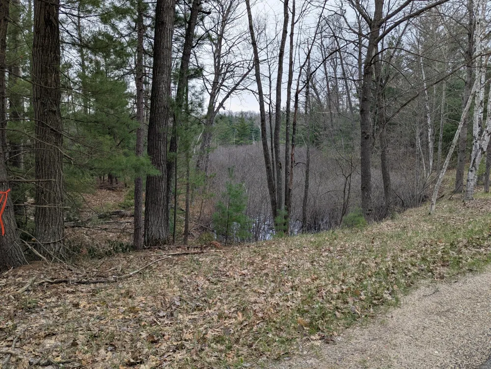 West Crooked Lake Rd Lake City, MI 49651