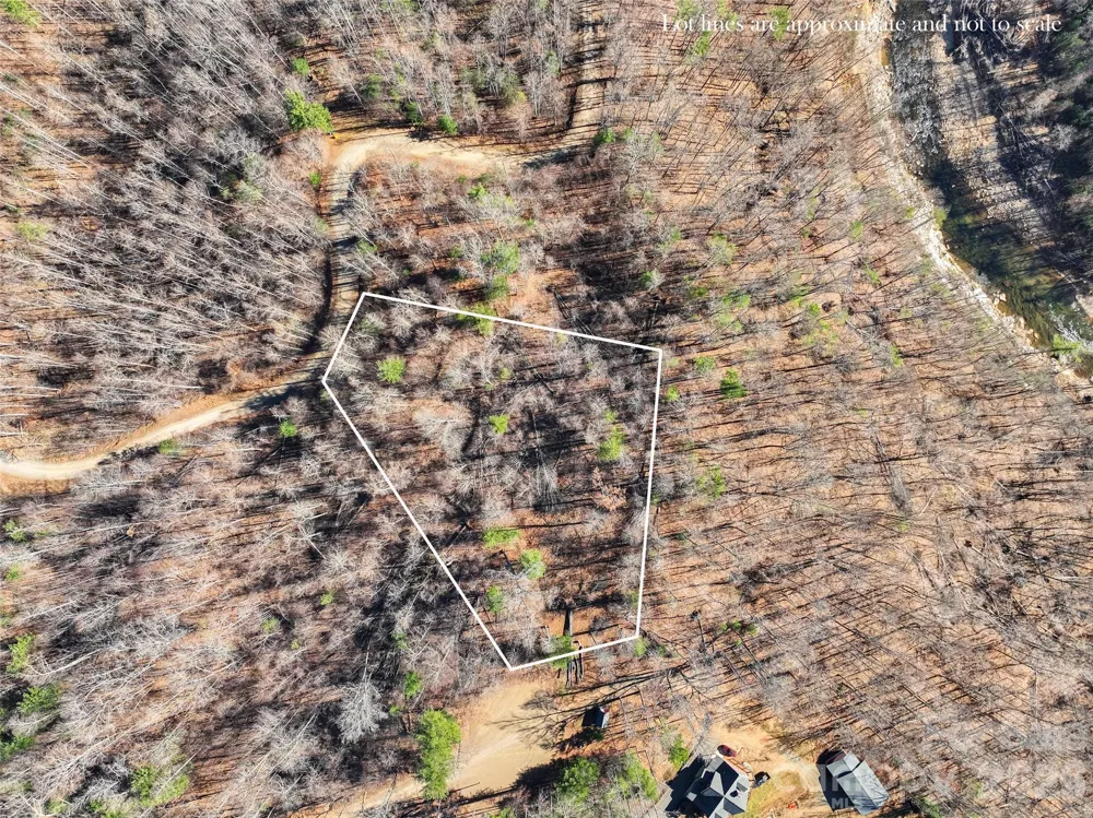 00000 High Peak Ridge #10 Green Mountain, NC 28740