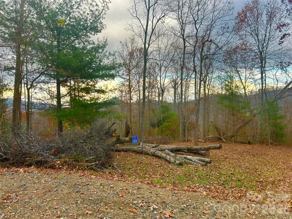 00000 High Peak Ridge #10 Green Mountain, NC 28740