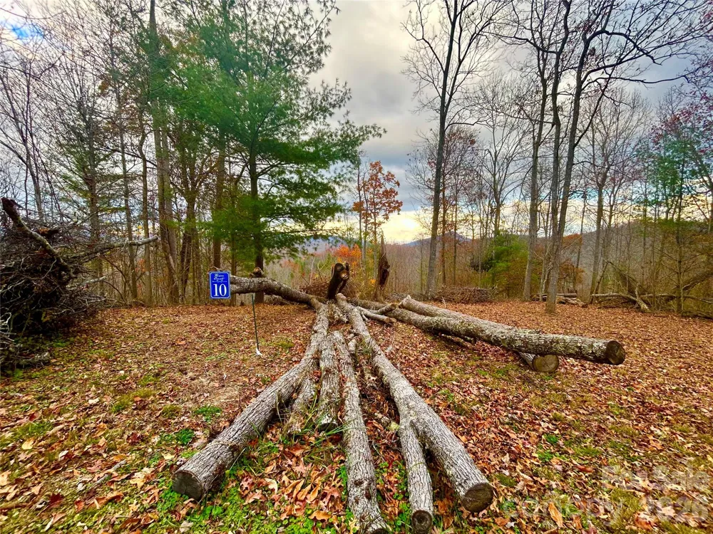 00000 High Peak Ridge #10 Green Mountain, NC 28740