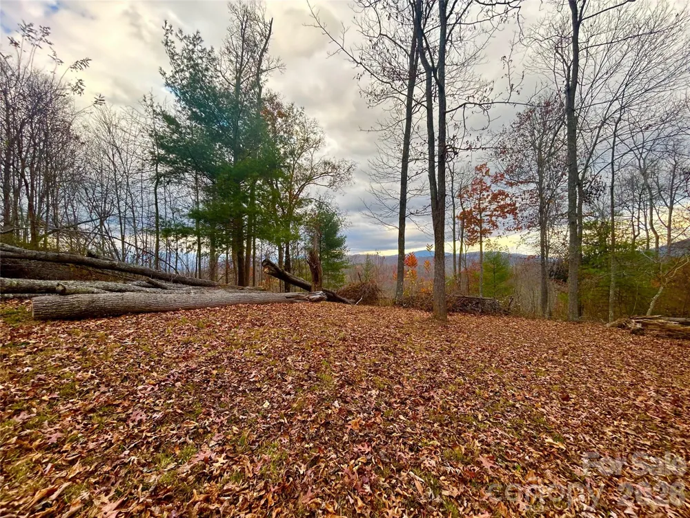 00000 High Peak Ridge #10 Green Mountain, NC 28740
