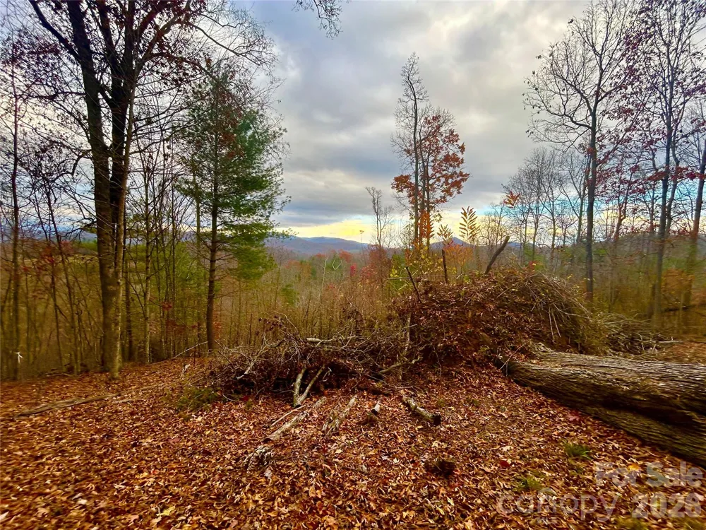 00000 High Peak Ridge #10 Green Mountain, NC 28740