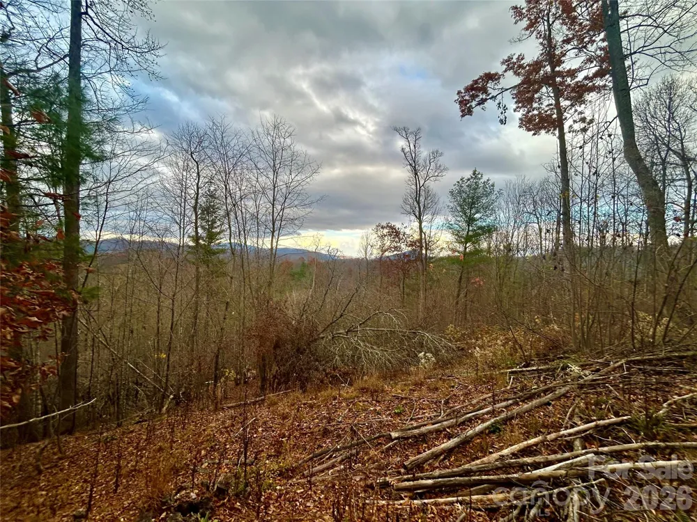 00000 High Peak Ridge #10 Green Mountain, NC 28740