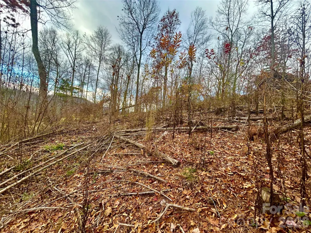00000 High Peak Ridge #10 Green Mountain, NC 28740