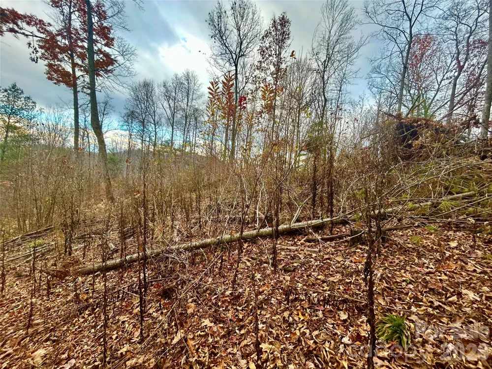 00000 High Peak Ridge #10 Green Mountain, NC 28740